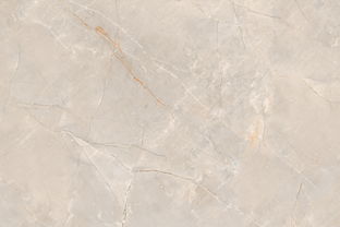 特地 負離子瓷磚,專注健康裝修,環(huán)保瓷磚 特地 負離子瓷磚